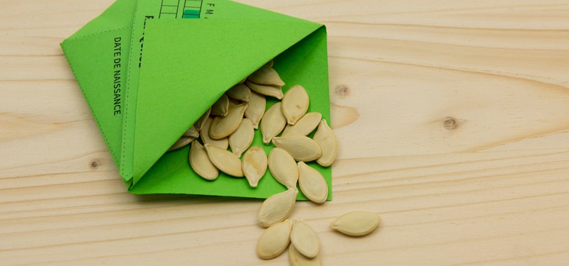 sachet en papier ouvert et graines de courge